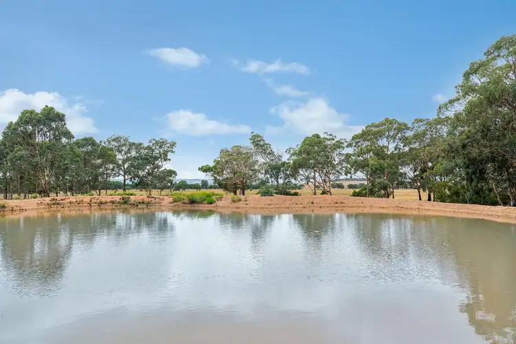 Second view of Homely rural property listing, 142A Suzanne Road, Gulgong NSW 2852