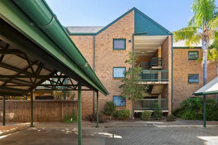 5/388 Carrington Street