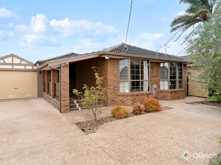 11 Alvina Street