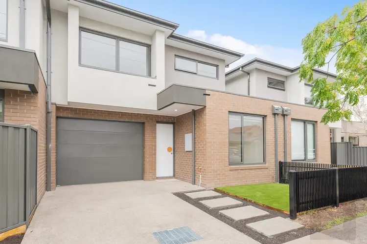 31B David Street