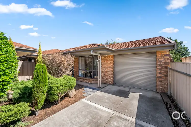 3/8 Harvey Street