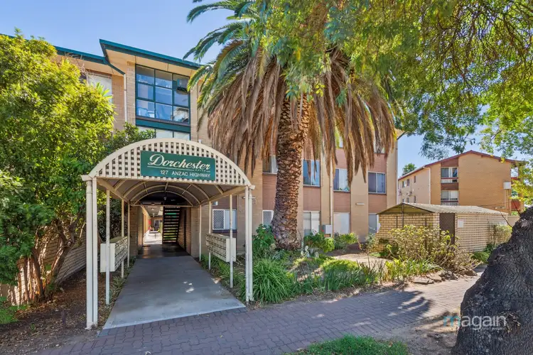 Main view of Homely unit listing, 3/127 Anzac Highway, Kurralta Park SA 5037