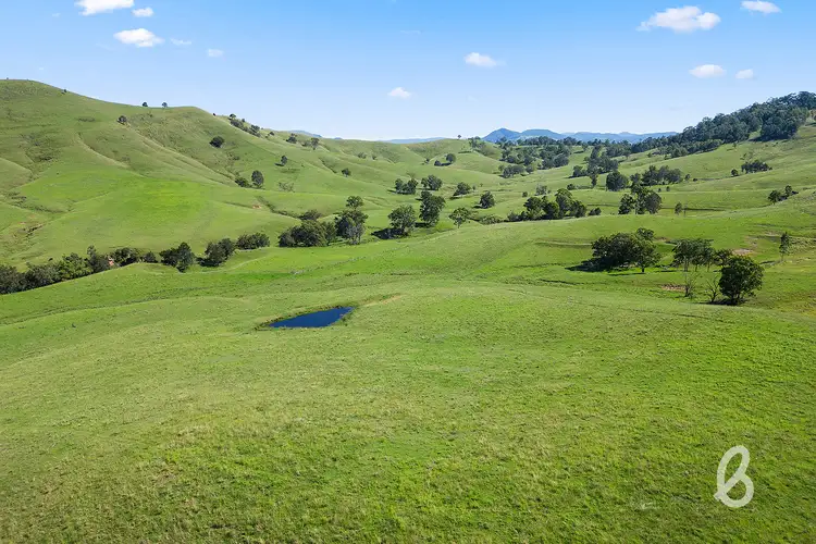 Second view of Homely rural property listing, 2148 Mirannie Road, Singleton NSW 2330