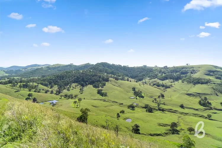 Fifth view of Homely rural property listing, 2148 Mirannie Road, Singleton NSW 2330
