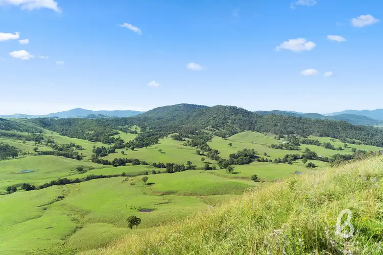 Sixth view of Homely rural property listing, 2148 Mirannie Road, Singleton NSW 2330