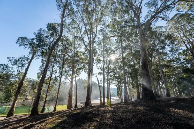 Third view of Homely land listing, 13A Collins Way, Tugrah TAS 7310