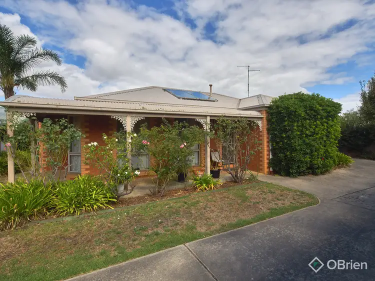 2/125 Normanby Street