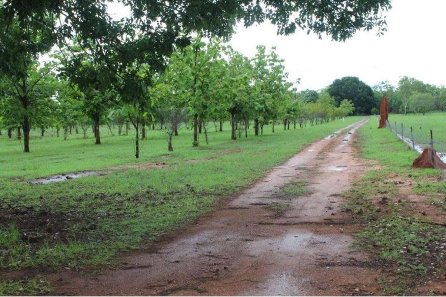 Main view of Homely acreageSemiRural listing, 630 Litchfield Park Road, Batchelor NT 845