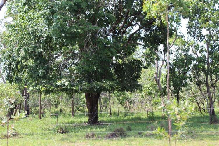 Third view of Homely ruralOther listing, LOT 14 Whitstone Road, Acacia Hills NT 822