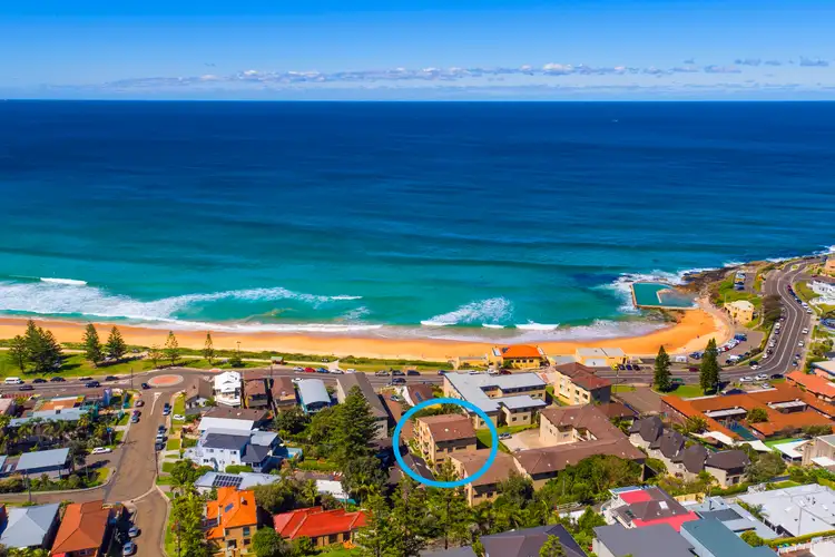 Main view of Homely unit listing, 6/62 Carrington Parade, Curl Curl NSW 2096
