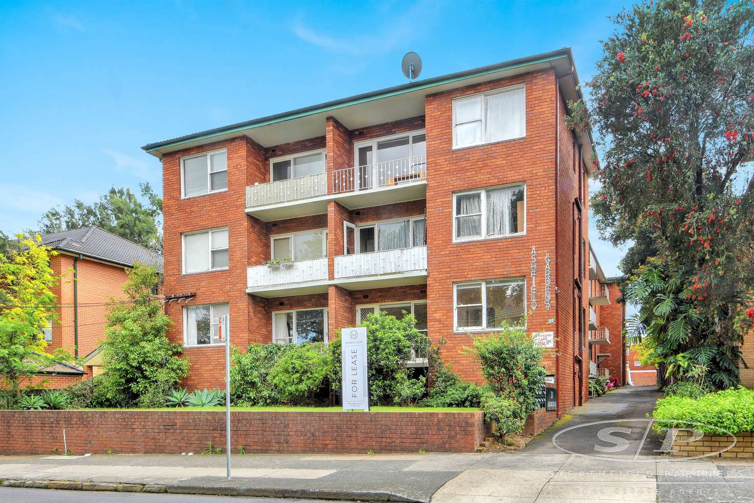 Main view of Homely unit listing, 19/31 Elizabeth Street, Ashfield NSW 2131
