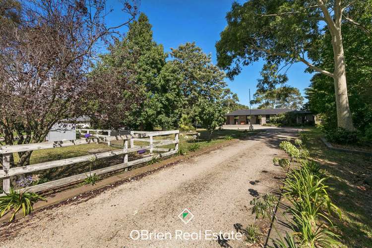 Second view of Homely house listing, 21 Middle Road, Pearcedale VIC 3912