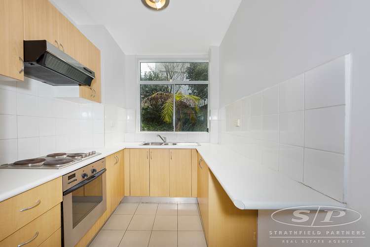 Main view of Homely unit listing, 6/174 Old South Head Road, Bellevue Hill NSW 2023
