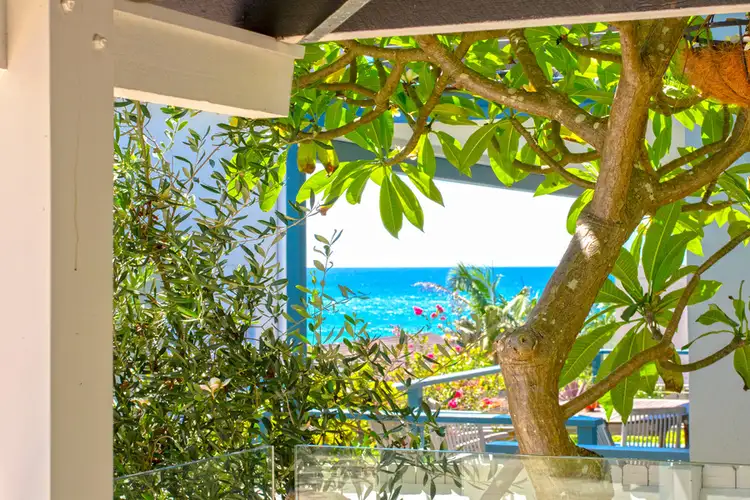 Sixth view of Homely house listing, 17 Beach Street, Curl Curl NSW 2096