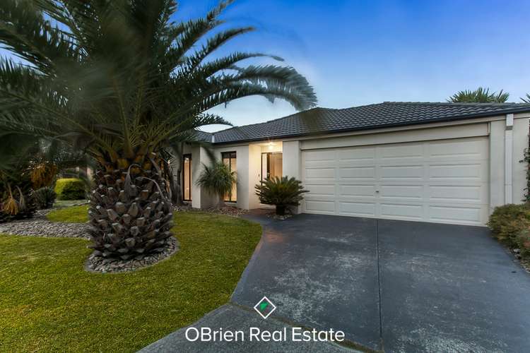 Main view of Homely house listing, 19 Pendulum Place, Berwick VIC 3806