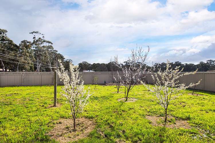 Fourth view of Homely house listing, 56 Maldon Road, Castlemaine VIC 3450