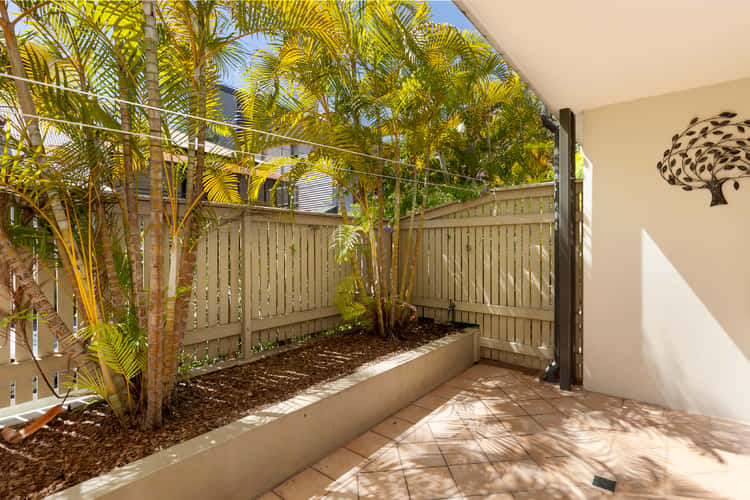 Second view of Homely unit listing, 6/20 Terrace Street, Spring Hill QLD 4000