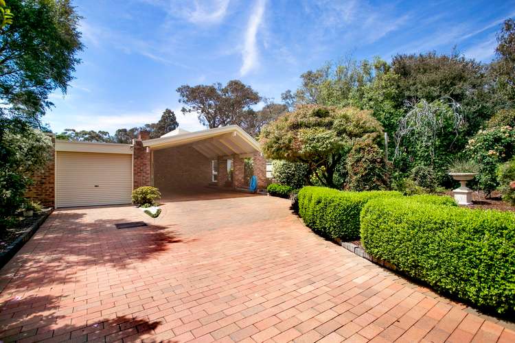 Main view of Homely house listing, 53 Marguerita Avenue, Mount Martha VIC 3934
