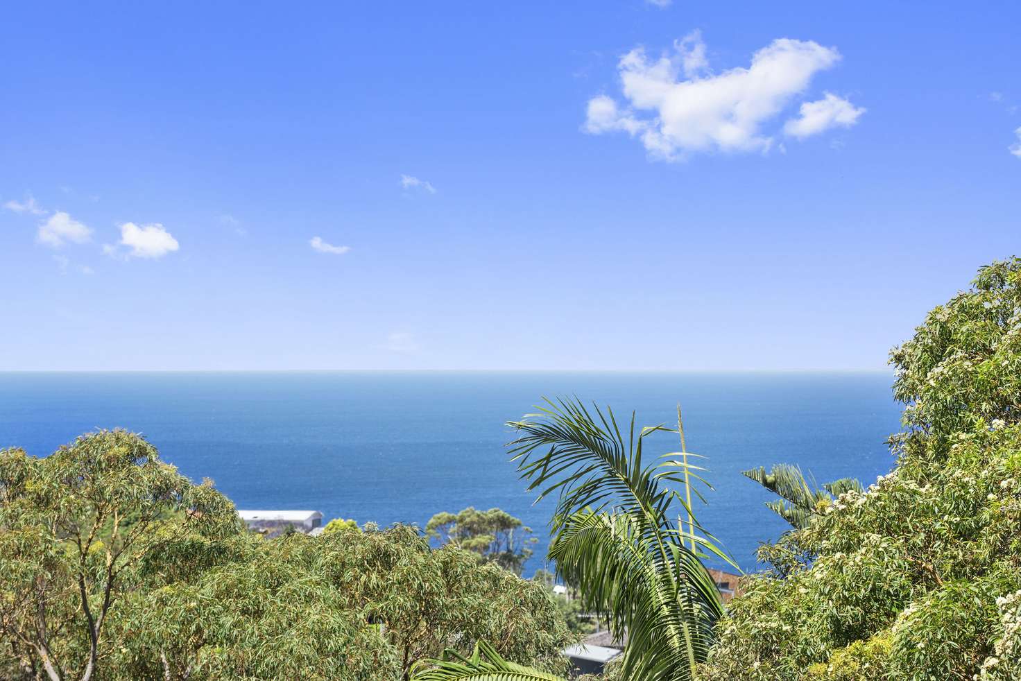 Main view of Homely house listing, 15 Daly Street, Bilgola Plateau NSW 2107