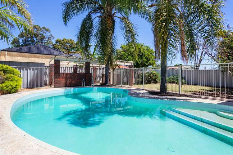 Fifth view of Homely house listing, 10 Appleby Street, Balcatta WA 6021
