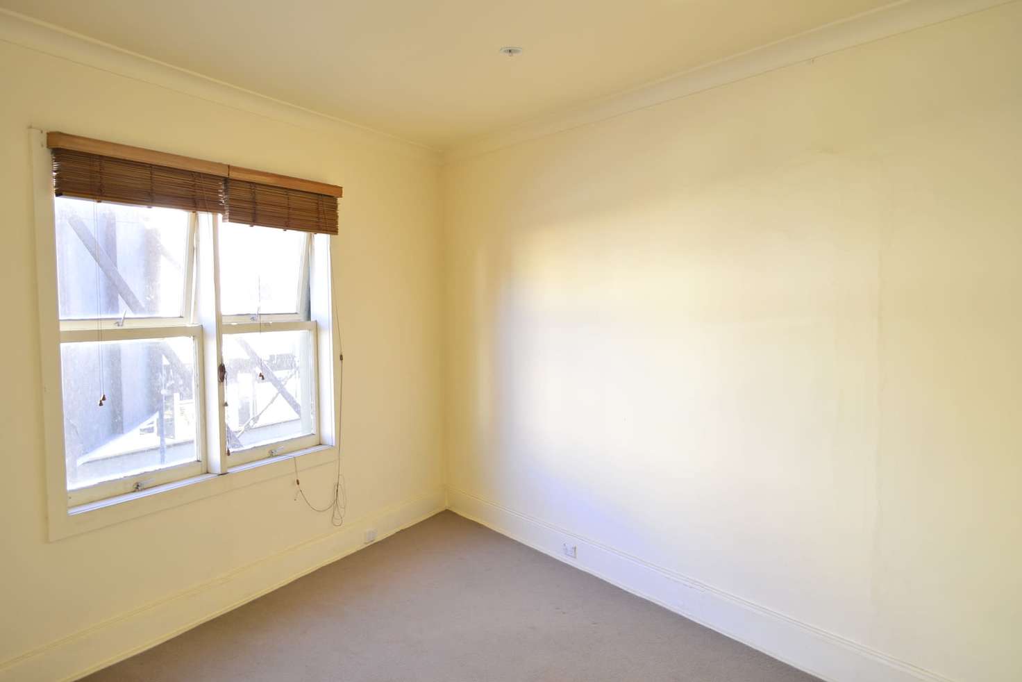 Main view of Homely apartment listing, 1/217-219 King Street, Newtown NSW 2042