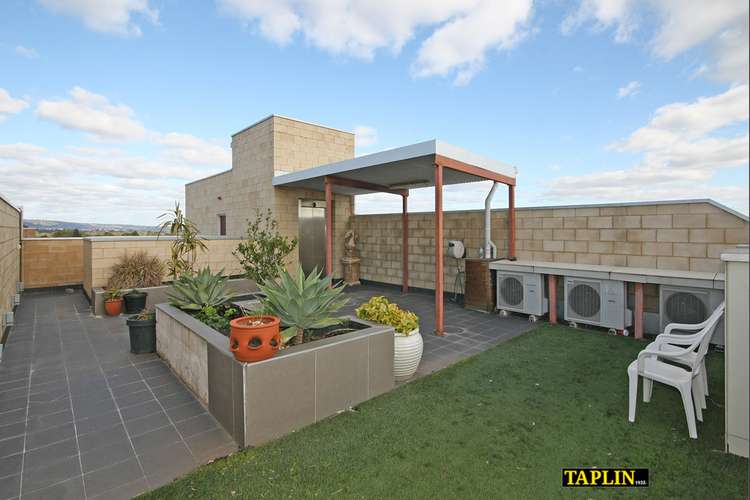 Main view of Homely apartment listing, 203/129 Sturt Street, Adelaide SA 5000
