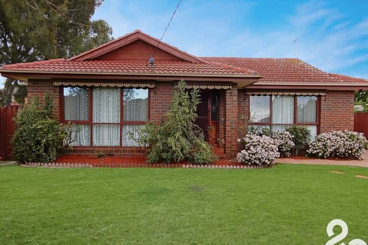 Main view of Homely house listing, 255 Greenhills Road, Bundoora VIC 3083