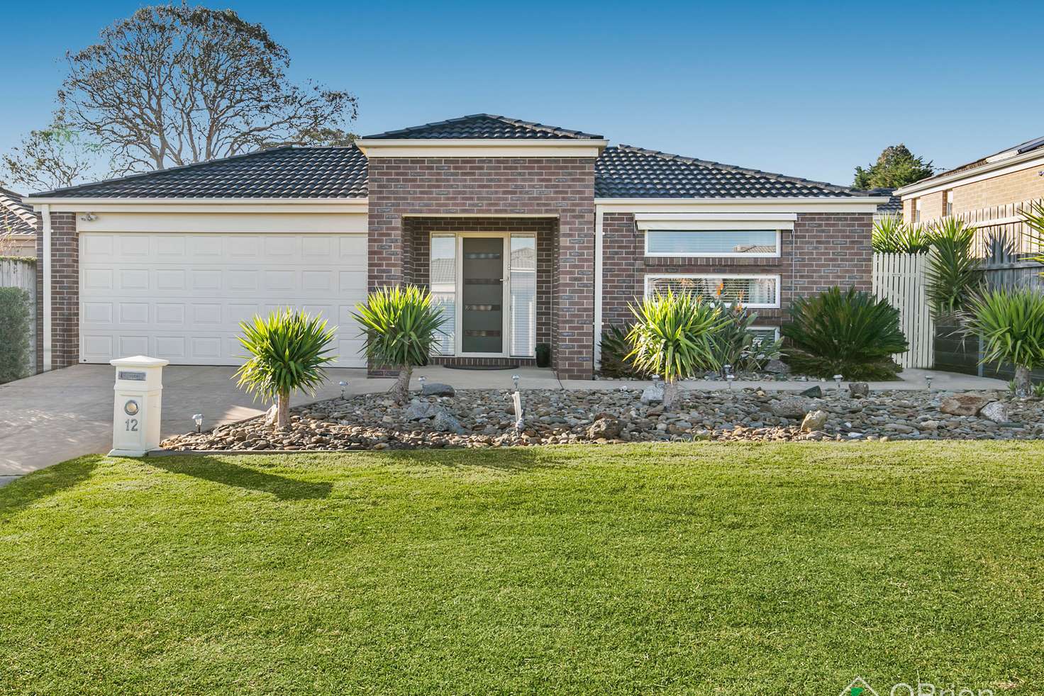 Main view of Homely house listing, 12 Madisson Crescent, Carrum Downs VIC 3201