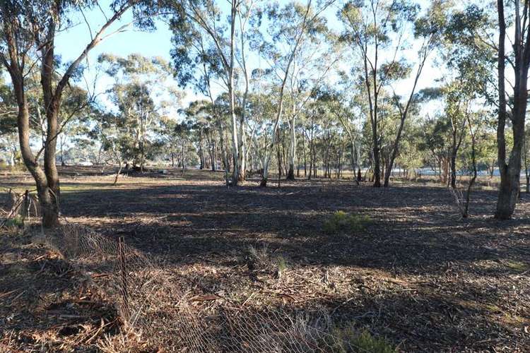 Fifth view of Homely ruralOther listing, CA 34 Sec Clifden Lane, Wedderburn VIC 3518