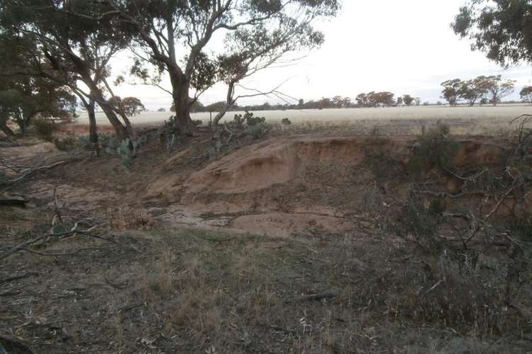 Seventh view of Homely ruralOther listing, LOT 17A & 17B Borung Wedderburn Road, Borung VIC 3518