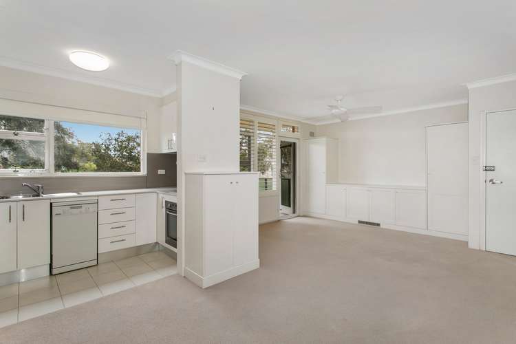 Main view of Homely apartment listing, 7/7 Rowe Street, Freshwater NSW 2096