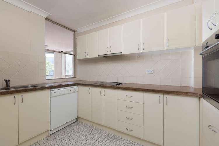 Fourth view of Homely apartment listing, 3/2 Llandaff Street, Bondi Junction NSW 2022