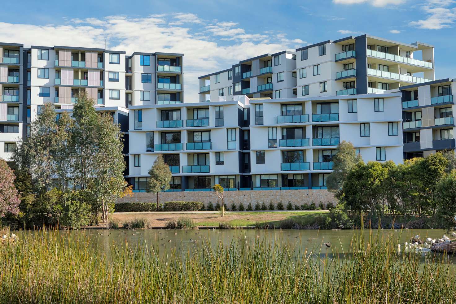 Main view of Homely apartment listing, 523/5 Vermont Crescent, Riverwood NSW 2210