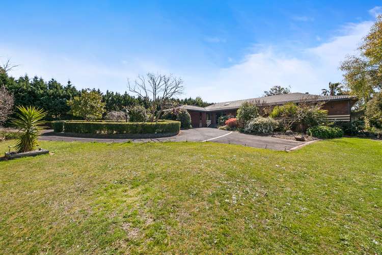 126 Bungower Road, Somerville VIC 3912