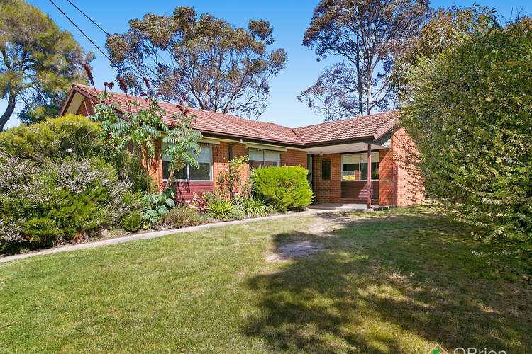 Main view of Homely house listing, 6 Balamara Place, Mornington VIC 3931