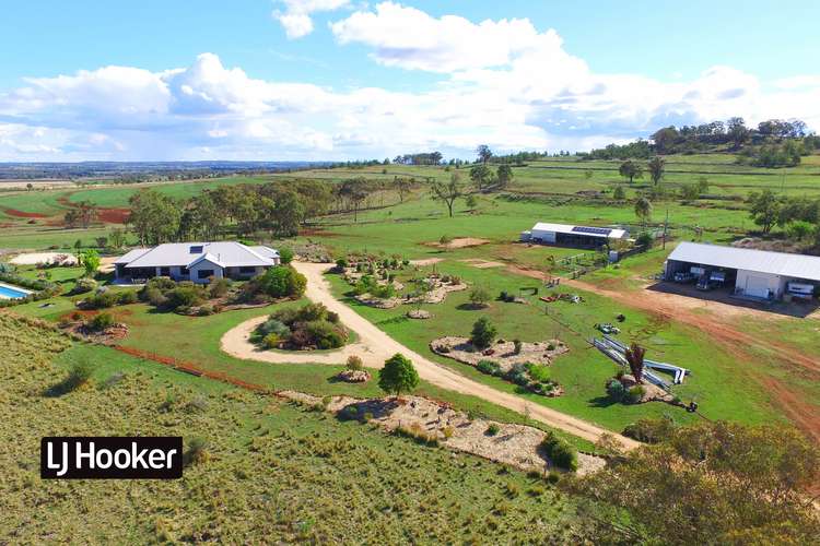 Main view of Homely livestock listing, 8075 Gwydir Highway, Inverell NSW 2360