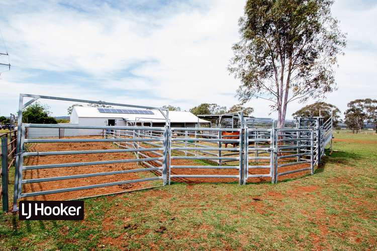 Third view of Homely livestock listing, 8075 Gwydir Highway, Inverell NSW 2360