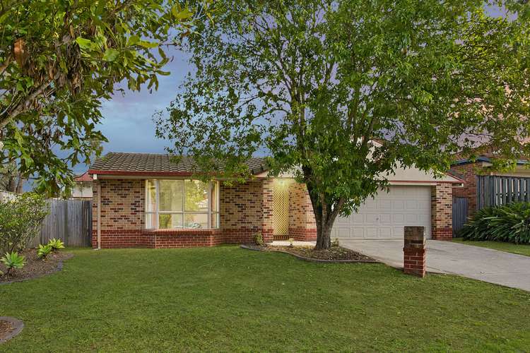 Main view of Homely house listing, 19 Borage Place, Calamvale QLD 4116