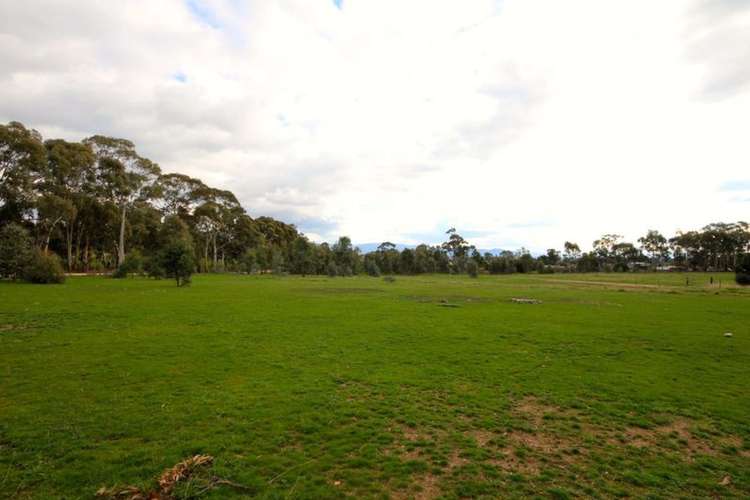 Main view of Homely residentialLand listing, 23 York Avenue, Avoca VIC 3467