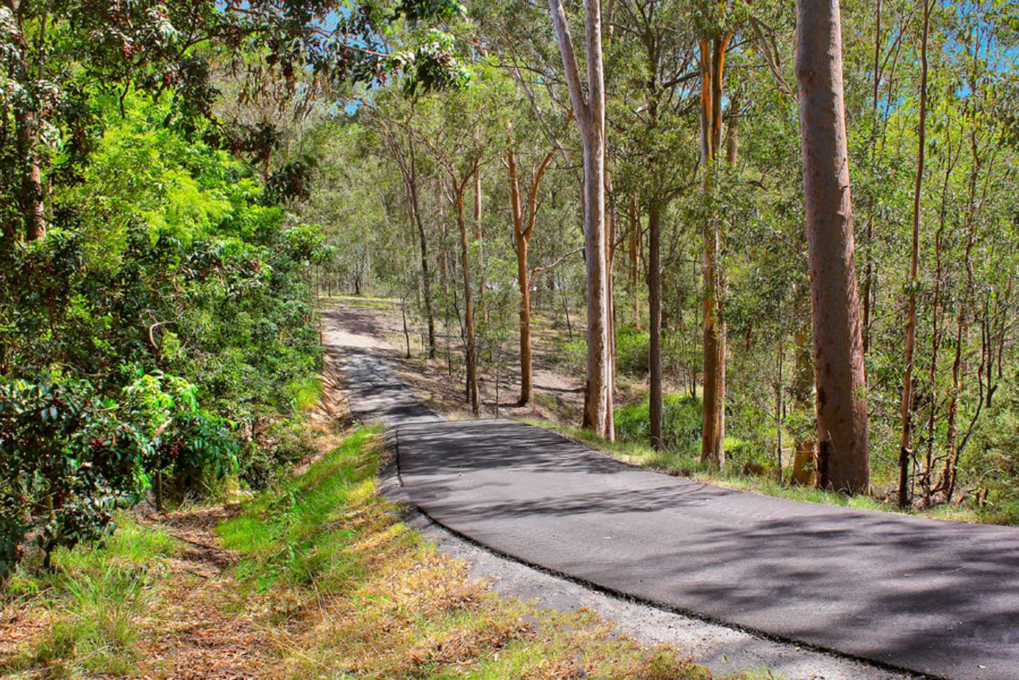 Main view of Homely residentialLand listing, 42A Allen Road, Bunya QLD 4055