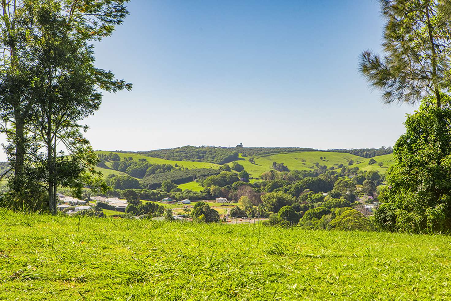 Main view of Homely residentialLand listing, 19 Granuaille Crescent, Bangalow NSW 2479