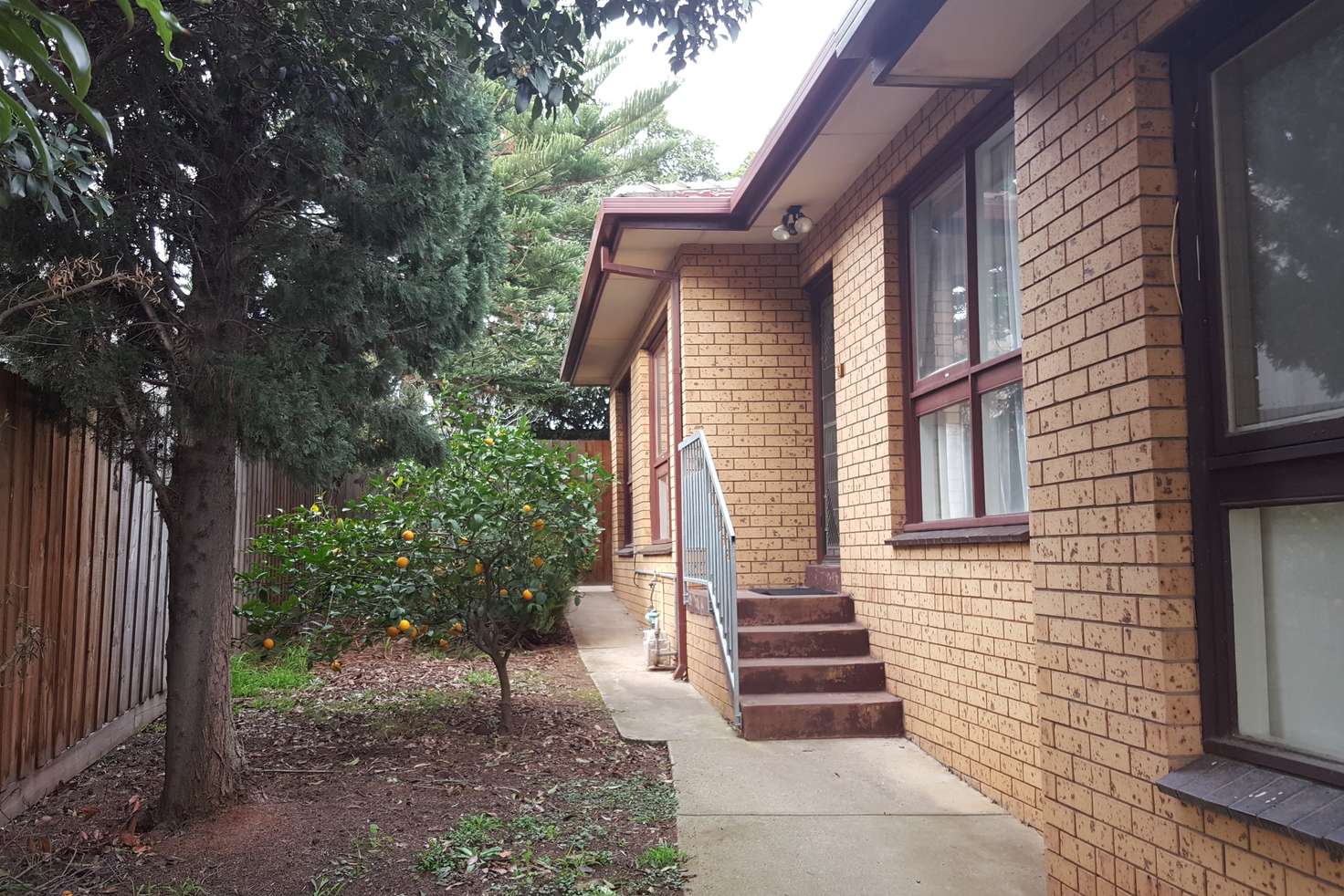 Main view of Homely unit listing, 5/50 Elizabeth Street, Coburg VIC 3058