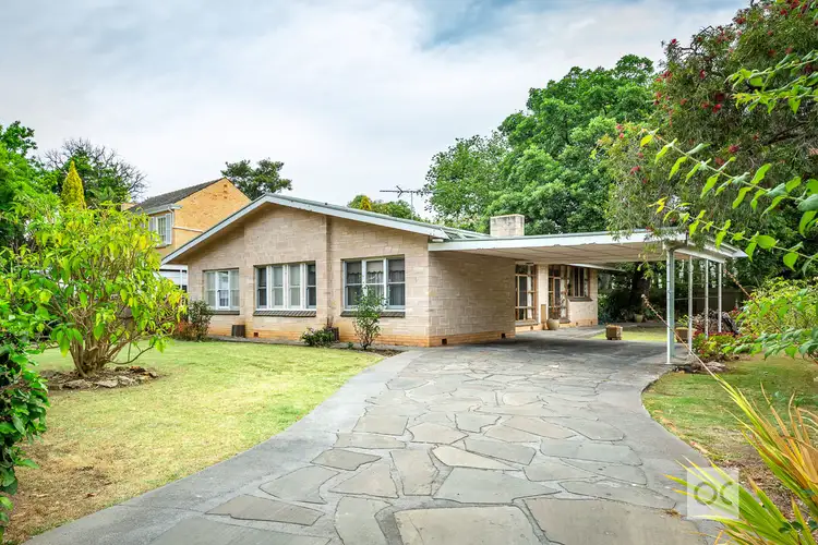 22 Whistler Avenue, Unley Park SA 5061
