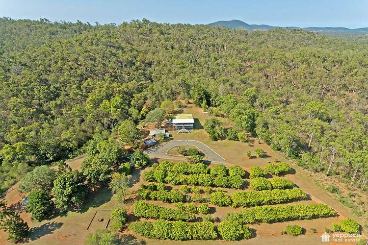 Second view of Homely ruralOther listing, 140 Cobraball Road, Bondoola QLD 4703