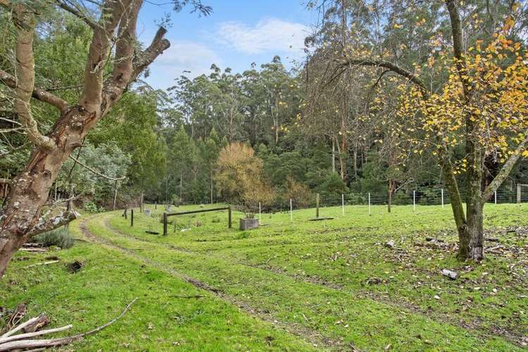 Fourth view of Homely house listing, 860 Barham River Road, Apollo Bay VIC 3233