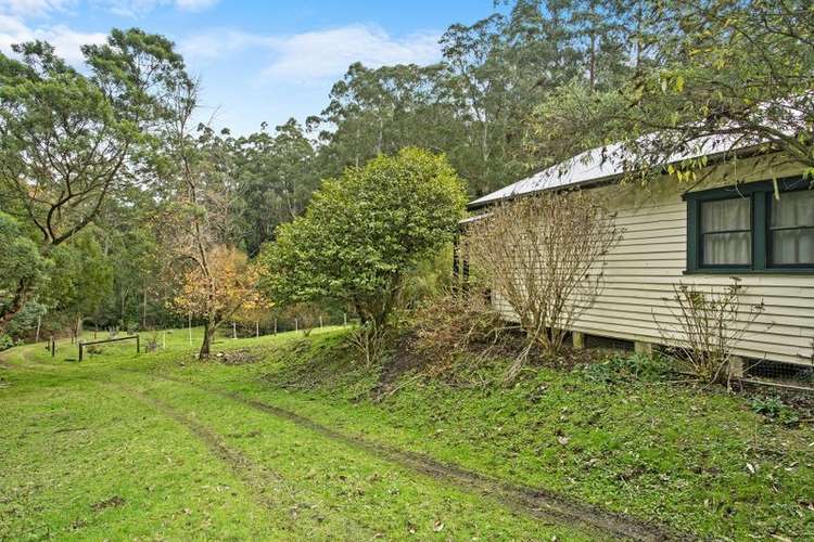 Fifth view of Homely house listing, 860 Barham River Road, Apollo Bay VIC 3233