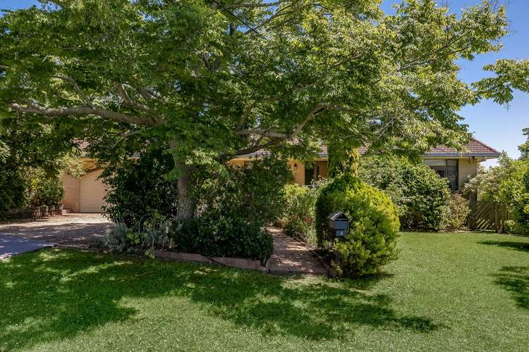 Second view of Homely house listing, 4 Hilltop Crescent, Blue Mountain Heights QLD 4350