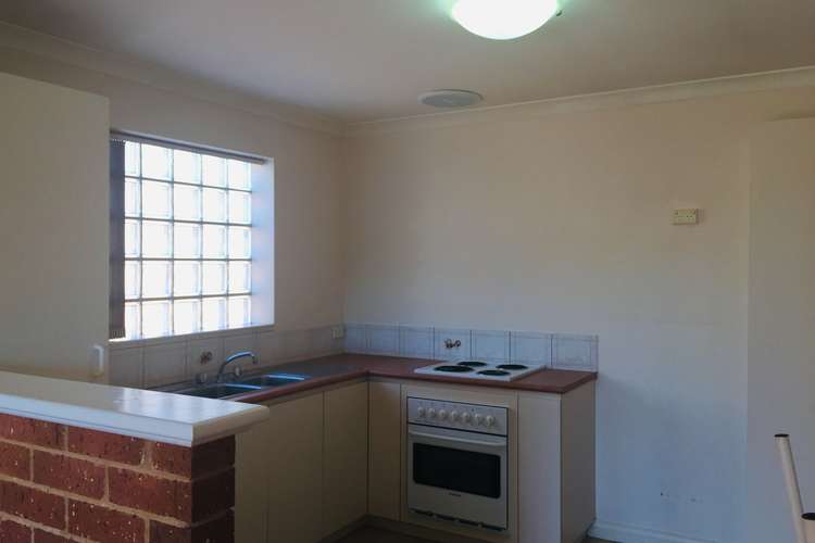 Fourth view of Homely unit listing, 3/19 MacDonald Street, Kalgoorlie WA 6430