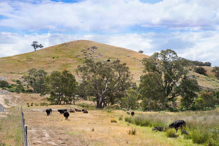 Second view of Homely residentialLand listing, Lot 6 Wilkinsons Road, Sedgwick VIC 3551