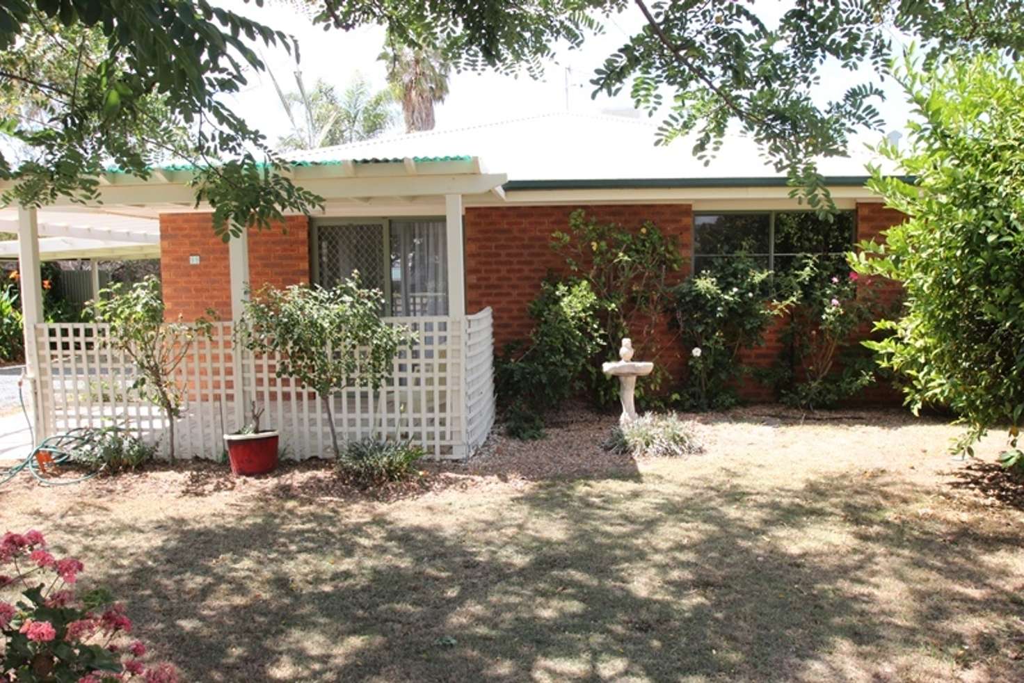 Main view of Homely house listing, 99 Vermont Street, Barooga NSW 3644